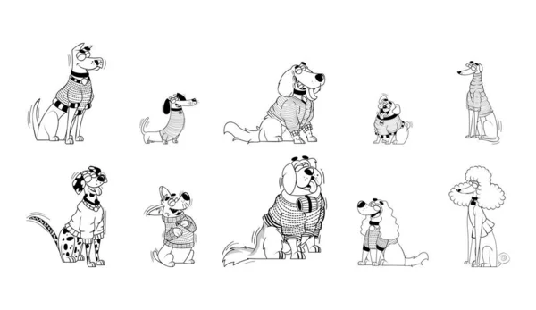 Vektorové Karikatury Psů Svetrem Charakter Izolované Ilustrace — Stockový vektor