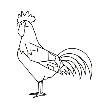 Horoz çizgi film çizgisi çizimi izole edildi