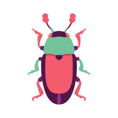 Böcek Böceği Böceği Çizgi Filmi İzole Edildi