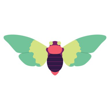 Güve Gecesi Kelebek Çizgi Filmi İzole Edildi