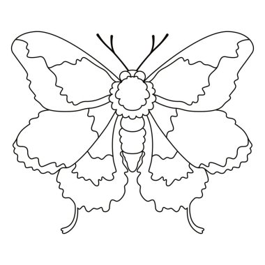 Moth Night Butterfly Cartoon Illustration Isolated clipart