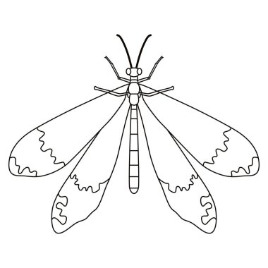 Yusufçuk Böceği Çizgi Filmi İzole Edildi