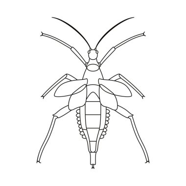 Çekirge Böceği Çizgi Filmi İzole Edildi