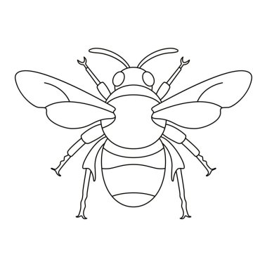 Bal Arısı Böceği Çizgi Filmi İzole Edildi