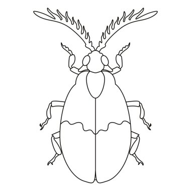 Böcek Böceği Böceği Çizgi Filmi İzole Edildi