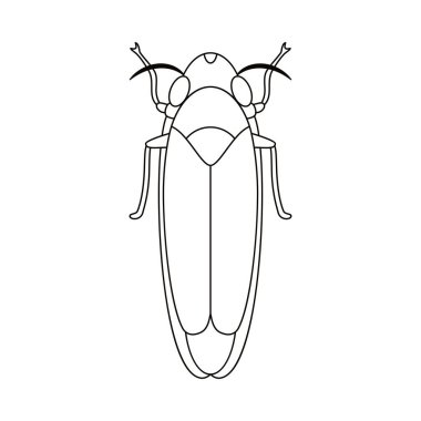 Böcek Böceği Çizgi Filmi İzole Edildi