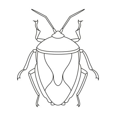 Böcek Böceği Böceği Çizgi Filmi İzole Edildi