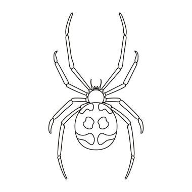 Örümcek Böceği Çizgi Filmi İzole Edildi