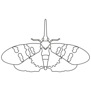 Güve Gecesi Kelebek Çizgi Filmi İzole Edildi