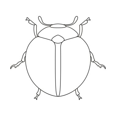 Uğur Böceği Böceği Böceği Çizgi Film Çizimi İzole Edildi