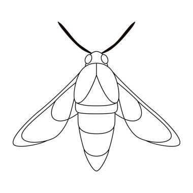 Güve Gecesi Kelebek Çizgi Filmi İzole Edildi