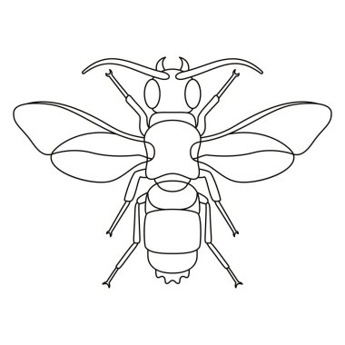 Bal Arısı Böceği Çizgi Filmi İzole Edildi