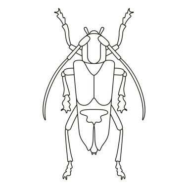 Çekirge Böceği Çizgi Filmi İzole Edildi