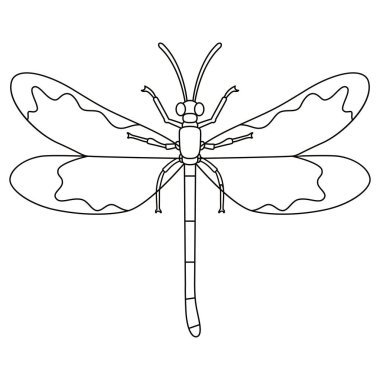 Yusufçuk Böceği Çizgi Filmi İzole Edildi