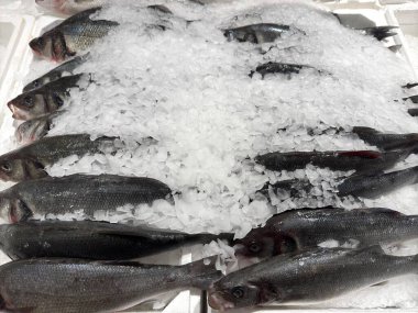 Yakın mesafeden dondurulmuş balık tezgahın üzerinde. Yüksek kalite fotoğraf