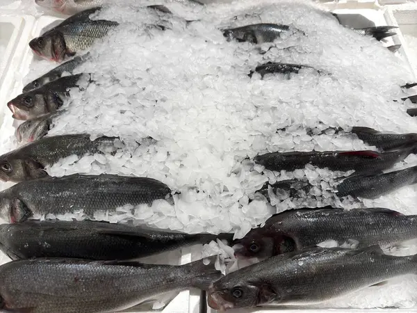 Yakın mesafeden dondurulmuş balık tezgahın üzerinde. Yüksek kalite fotoğraf