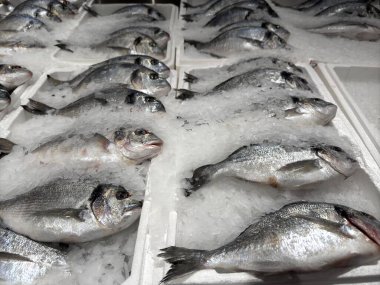 Yakın mesafeden dondurulmuş balık tezgahın üzerinde. Yüksek kalite fotoğraf