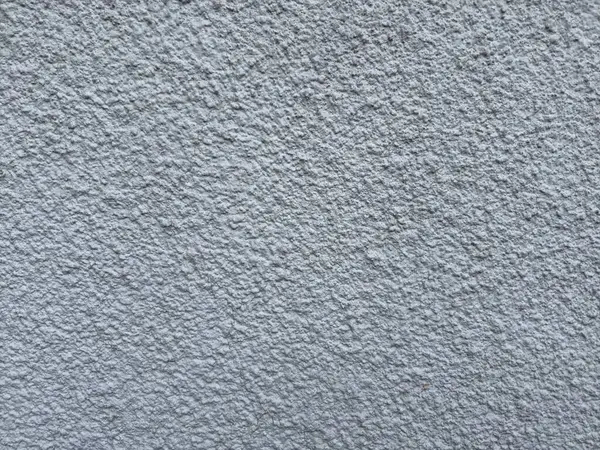 Gri betonun arka planı ve gün ışığında biraz mavi. Yüksek kalite fotoğraf