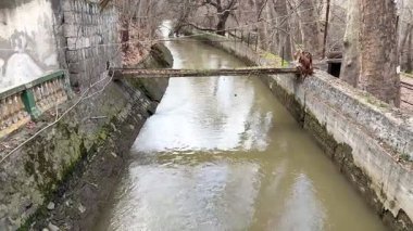 Koyu yeşil renkli küçük bir nehir yavaşça akar, köprüden manzara. Yüksek kalite 4k görüntü