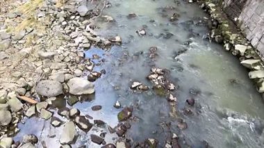 Kıyıda taşları olan küçük bir nehir yavaşça akar. Yüksek kalite 4k görüntü