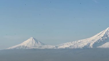 Kara kargalar Ararat Dağı 'nın arka planında ve mavi gökyüzünde, kar şapkası ve erimiş dibi olan dağda uçarlar. Yüksek kalite 4k görüntü