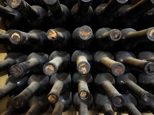 Mahzendeki Şarap Şişeleri Koleksiyonu. Şarap mahzeninde depolanmış tozlu şarap şişelerinin yakın çekim görüntüsü. Yüksek kalite fotoğraf
