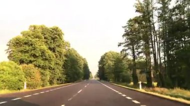 Boş yol, siyah asfalt yol ve orman.