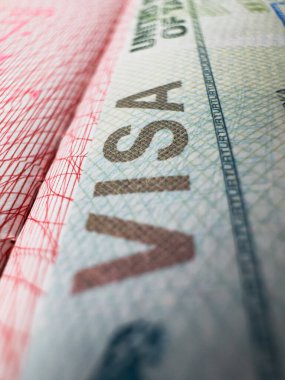 Dünya seyahati için pasaport, Zanzibar Tanzanya vizesi, tur, havaalanı, gümrük, haber, kapalı sınırlar, uyruk. Makro fotoğraf. Yüksek kalite fotoğraf