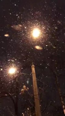 Sokak ışıklarının altına kar yağıyor, kış, yüksek kalite.