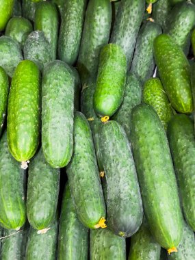 Salatalık, yığınla salatalık yığılmış. Yeşiller ve sarı sapları var. Yığında bir sürü salatalık var.