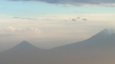 Arka planda bulutlu bir gökyüzü olan bir dağ Araratı var. Gökyüzünde uçan kuşlar var, Ermenistan Erivan