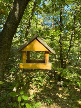 Bir kuş besleyicisi ağaca asılıyor. Kuş evi, ormandaki kuş evi, yaz günlerinde orman, kuş bakımı. Besleyici ahşaptır ve çatısı vardır.