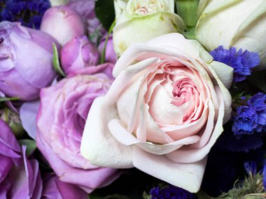 Küçük güllerden bir buket çiçek, kapalı formda güller, beyaz ve pembe güller, reklam ve pankart için güzel bir buket çiçek. Yüksek kalite