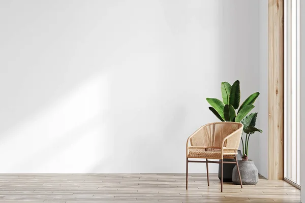 空の白い壁 椅子と植物とモックアップのための現代的なインテリアの背景 豪華なリビングルームのインテリアの背景 スカンディナヴィアスタイル 3Dレンダリング — ストック写真