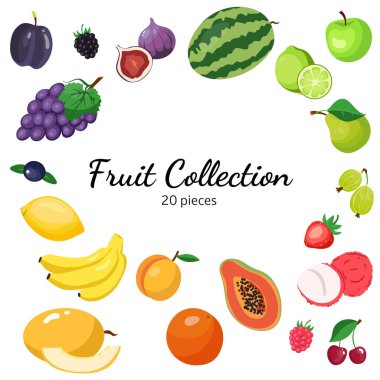 Düz dizayn edilmiş meyve vektör paketi 20 farklı mevsimlik meyveler