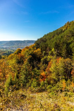 Küçük Sonbahar, Jena - Thüringen - Almanya topraklarında yürür.