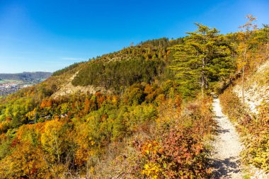 Küçük Sonbahar, Jena - Thüringen - Almanya topraklarında yürür.