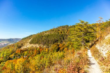 Küçük Sonbahar, Jena - Thüringen - Almanya topraklarında yürür.