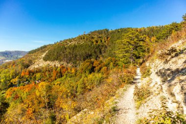 Küçük Sonbahar, Jena - Thüringen - Almanya topraklarında yürür.