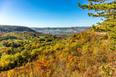 Küçük Sonbahar, Jena - Thüringen - Almanya topraklarında yürür.