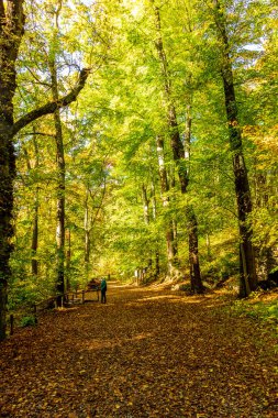 Küçük Sonbahar, Jena - Thüringen - Almanya topraklarında yürür.