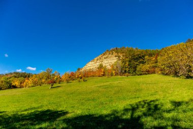 Küçük Sonbahar, Jena - Thüringen - Almanya topraklarında yürür.