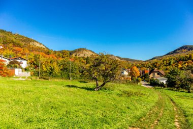 Küçük Sonbahar, Jena - Thüringen - Almanya topraklarında yürür.