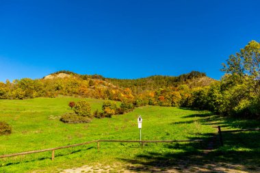 Küçük Sonbahar, Jena - Thüringen - Almanya topraklarında yürür.