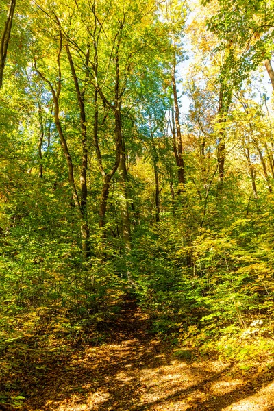 Küçük Sonbahar Jena Thüringen Almanya Topraklarında Yürür — Stok fotoğraf