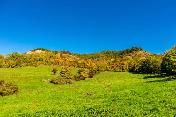 stock image Small Autumn walk through the landscape of  Jena - Thuringia - Germany