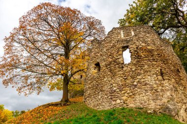 Bad Liebenstein - Thüringen - Almanya yakınlarındaki güzel park manzarasında küçük bir sonbahar yürüyüşü.
