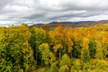 Bad Liebenstein - Thüringen - Almanya yakınlarındaki güzel park manzarasında küçük bir sonbahar yürüyüşü.