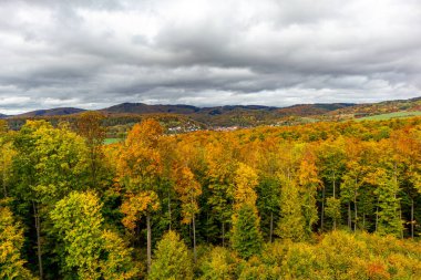 Bad Liebenstein - Thüringen - Almanya yakınlarındaki güzel park manzarasında küçük bir sonbahar yürüyüşü.