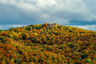 Bad Liebenstein - Thüringen - Almanya yakınlarındaki güzel park manzarasında küçük bir sonbahar yürüyüşü.
